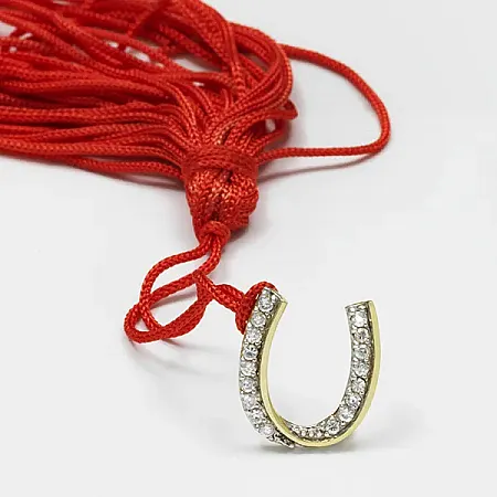 TRIBUTE, Ασημένιο Unisex Γούρι